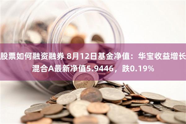 股票如何融资融券 8月12日基金净值：华宝收益增长混合A最新净值5.9446，跌0.19%