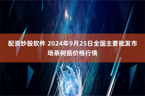 配资炒股软件 2024年9月25日全国主要批发市场茶树菇价格行情