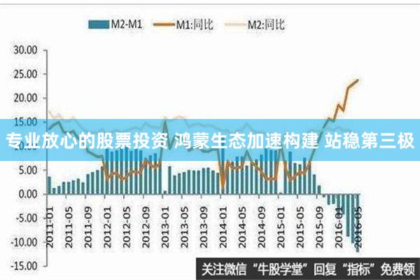 专业放心的股票投资 鸿蒙生态加速构建 站稳第三极