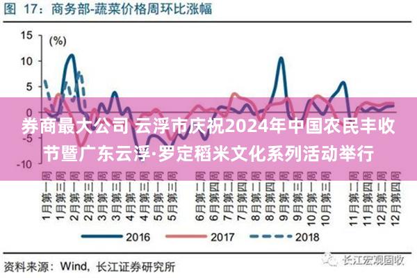 券商最大公司 云浮市庆祝2024年中国农民丰收节暨广东云浮·罗定稻米文化系列活动举行