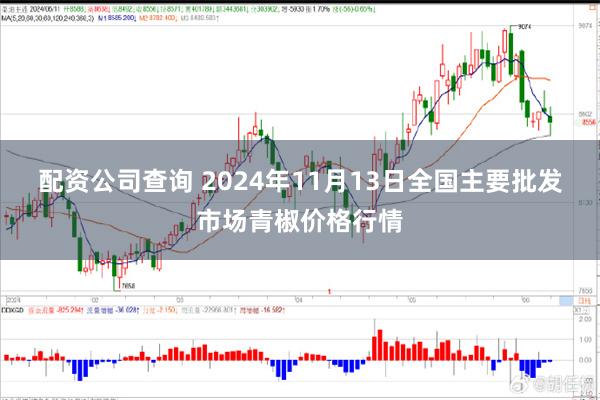 配资公司查询 2024年11月13日全国主要批发市场青椒价格行情